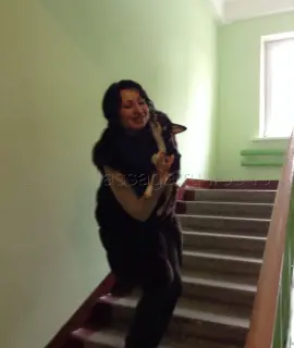 Анкета массажистки валерия - Фото 1, метро Мякинино, 31 год, №160